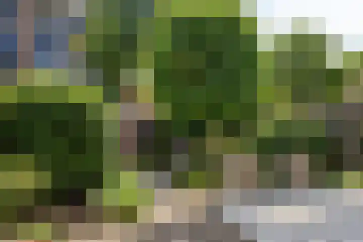 Klingmakersdonk 607 Apeldoorn thumbnail 14