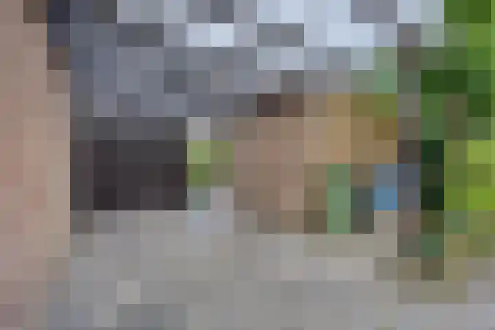 Klingmakersdonk 607 Apeldoorn thumbnail 15