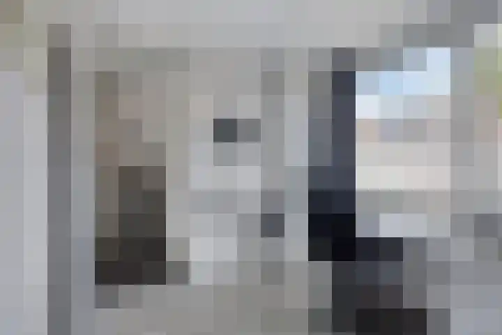 Klingmakersdonk 607 Apeldoorn thumbnail 19