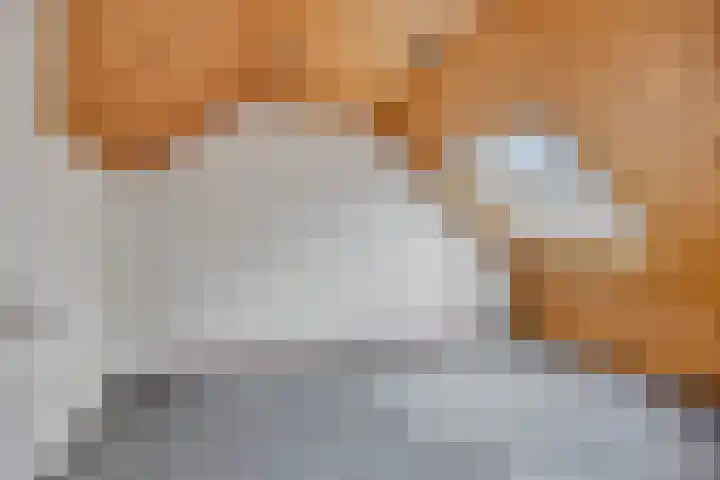 Klingmakersdonk 607 Apeldoorn thumbnail 24