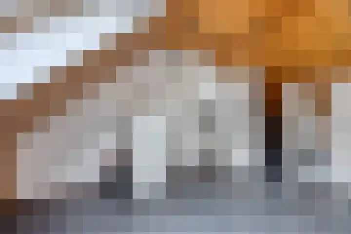 Klingmakersdonk 607 Apeldoorn thumbnail 25