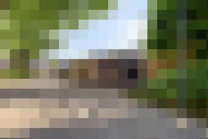 Klingmakersdonk 607 Apeldoorn thumbnail 26