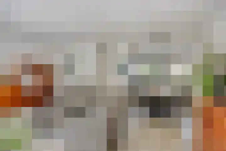 Klingmakersdonk 607 Apeldoorn thumbnail 8