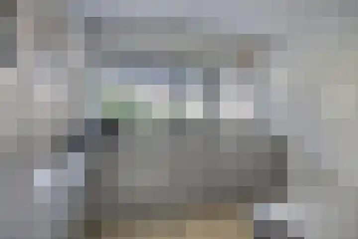 Klingmakersdonk 607 Apeldoorn thumbnail 9