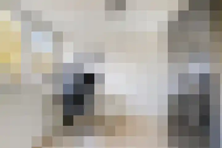 Klinkaart 3 Best thumbnail 38