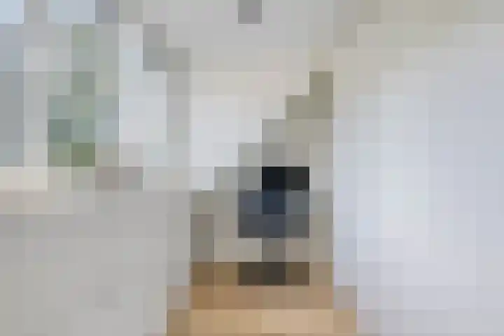 Klinkaart 3 Best thumbnail 39