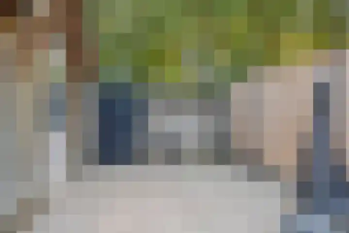 Klinkaart 3 Best thumbnail 46