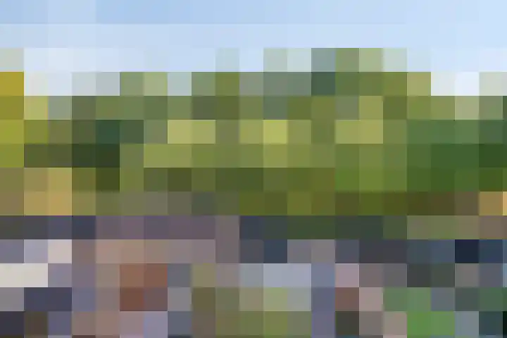 Klinkaart 3 Best thumbnail 47