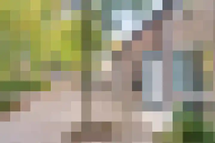 Klinkaart 3 Best thumbnail 9