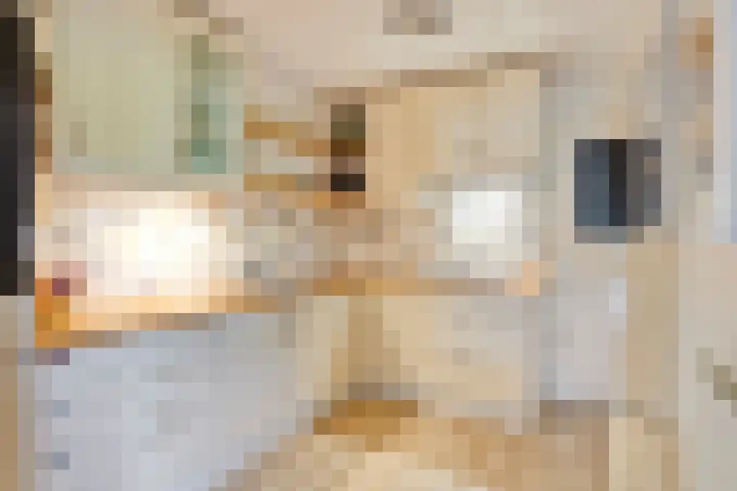 Klinkenberg 123 Meerssen thumbnail 11