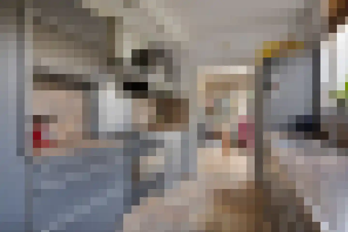 Klinkenberg 13 Oosterhout thumbnail 11