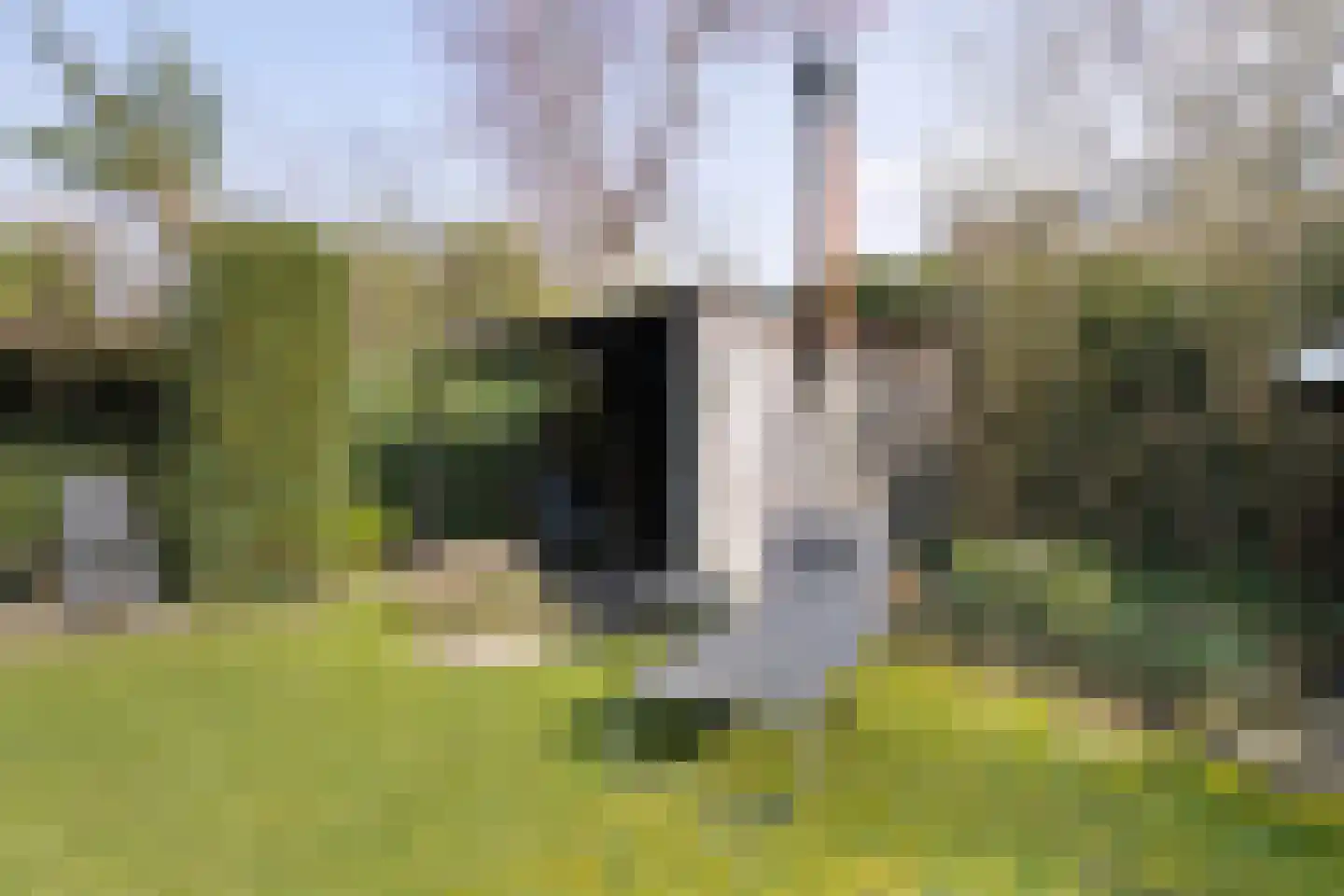 Klinkenberg 13 Oosterhout thumbnail 38