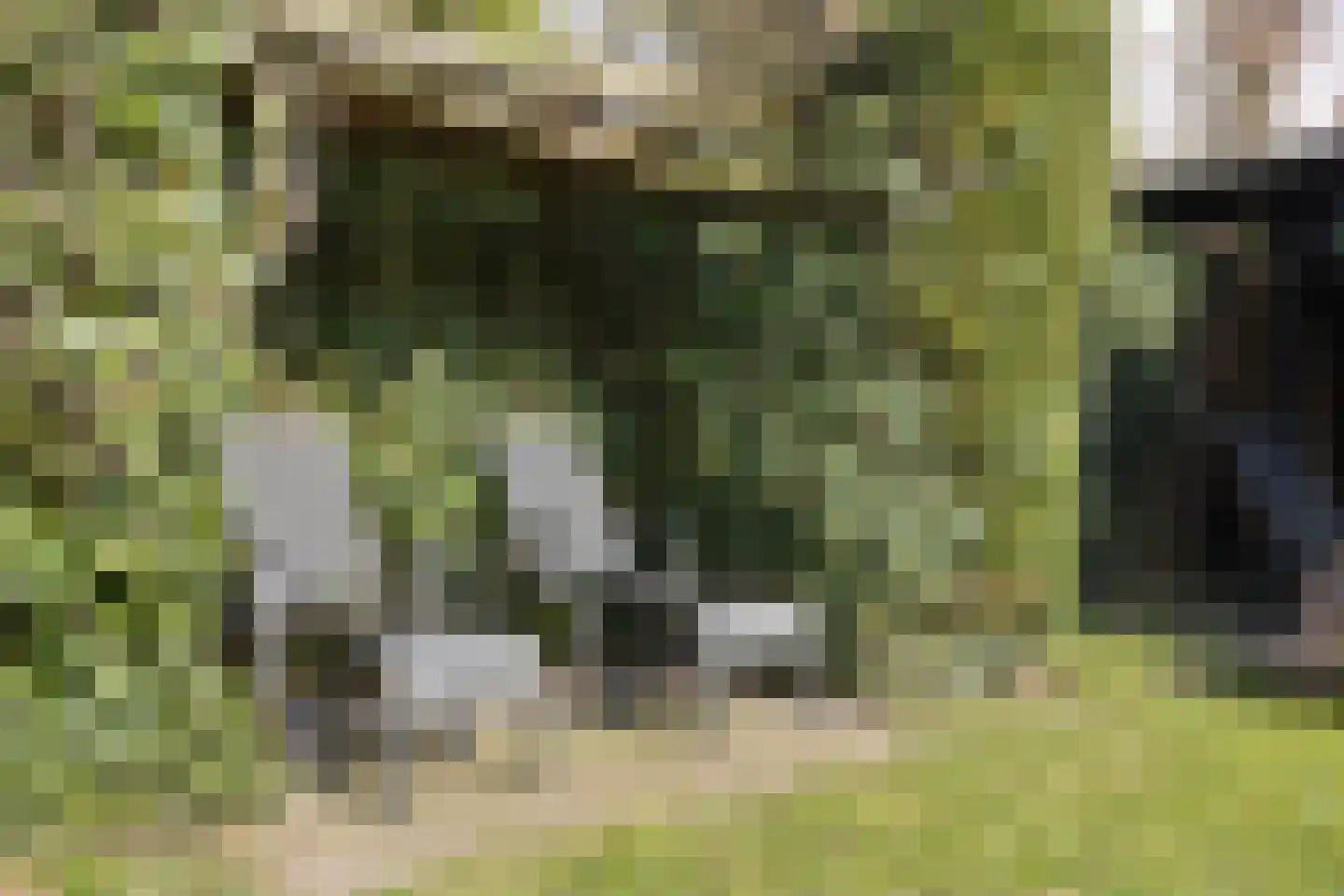 Klinkenberg 13 Oosterhout thumbnail 40