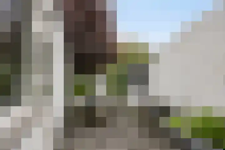 Klinkenberg 167 Meerssen thumbnail 10