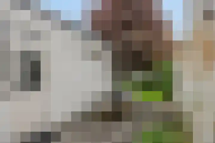 Klinkenberg 167 Meerssen thumbnail 11