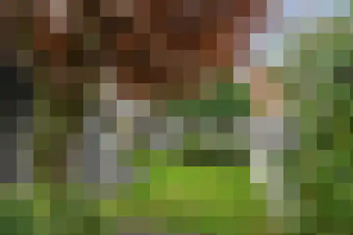 Klinkenberg 167 Meerssen thumbnail 13