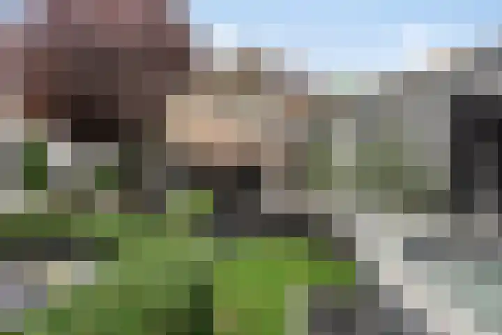 Klinkenberg 167 Meerssen thumbnail 17