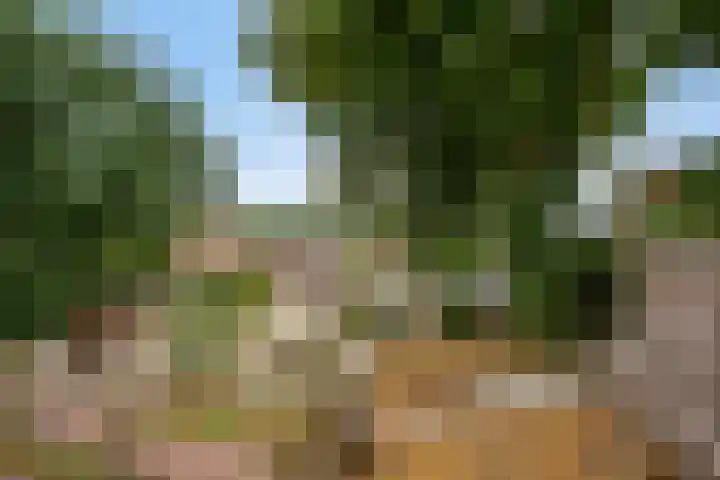Klinkenberg 167 Meerssen thumbnail 43