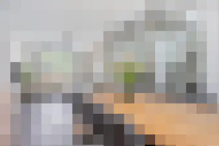 Klinkenberg 167 Meerssen thumbnail 8
