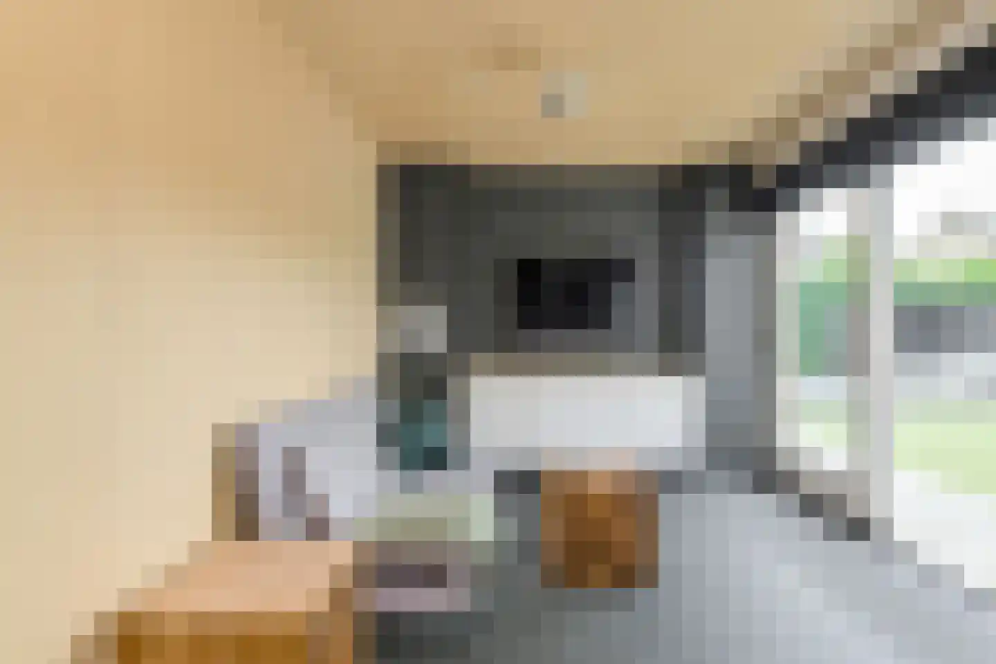 Klinkenberg 3 Oosterhout thumbnail 21