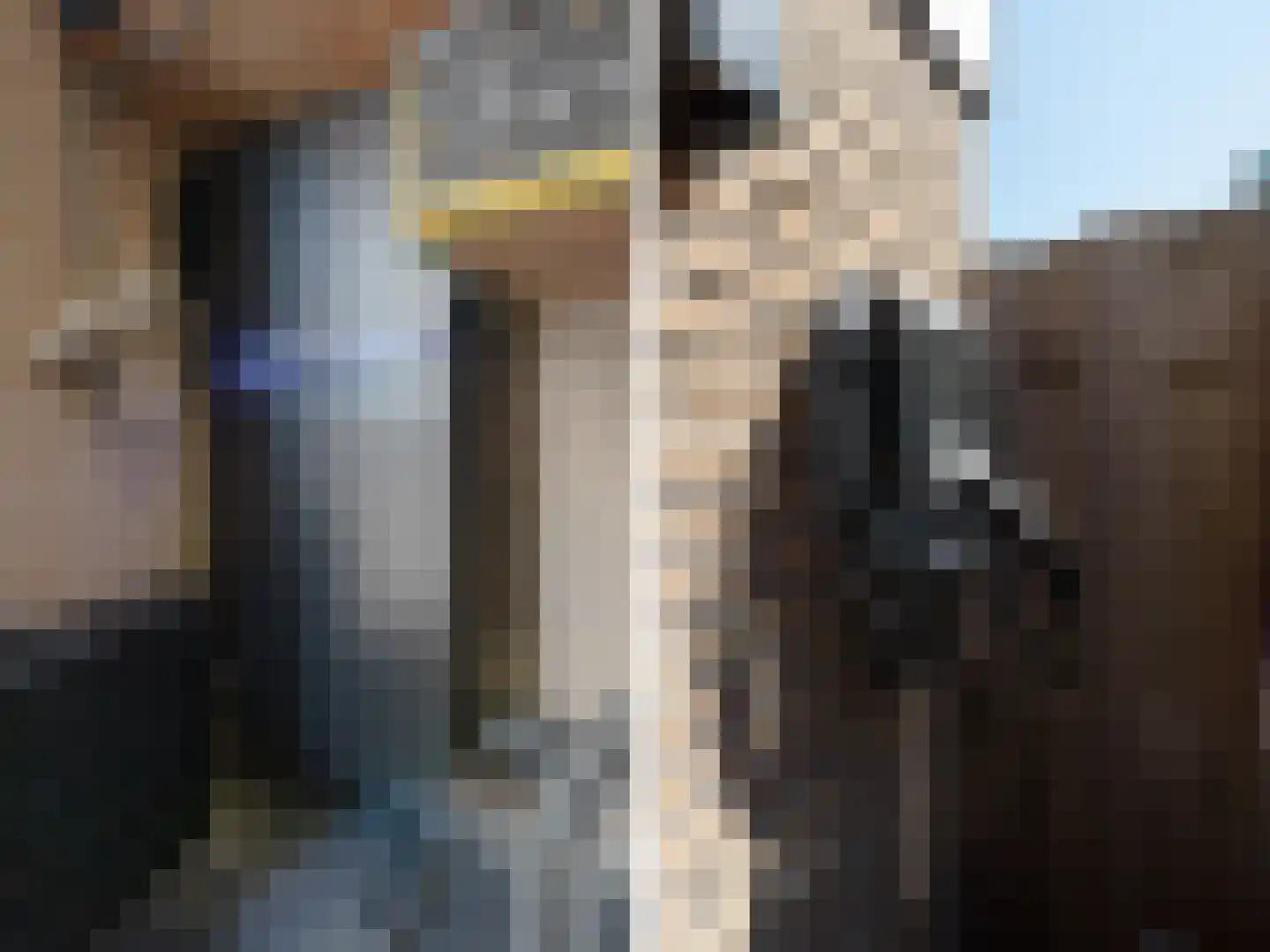 Klinkenberg 4 Monster thumbnail 45