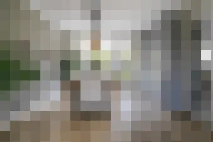 Klinkenberg 5 Oosterhout thumbnail 14