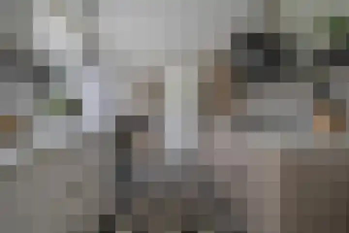 Klinkenberg 5 Oosterhout thumbnail 22
