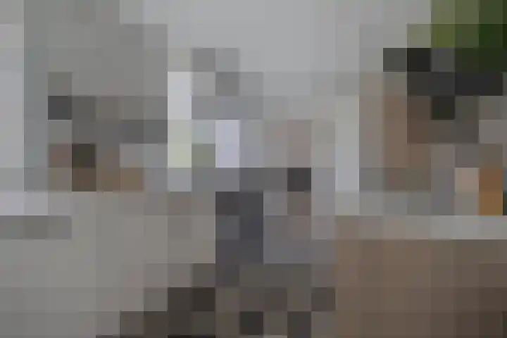 Klinkenberg 5 Oosterhout thumbnail 23