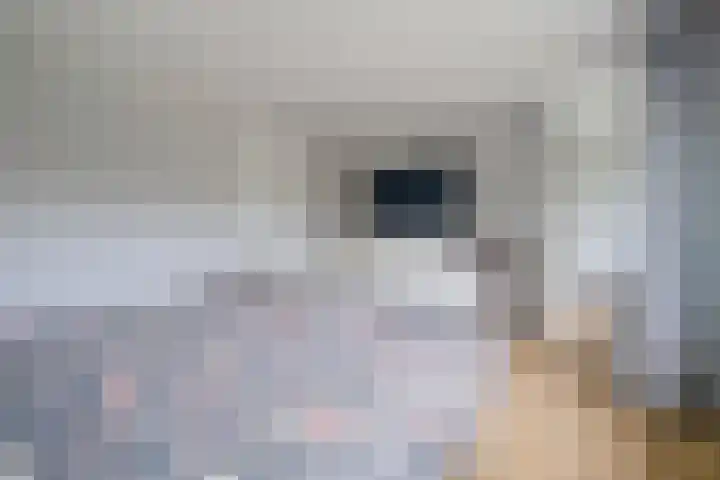 Klinkenberg 5 Oosterhout thumbnail 27
