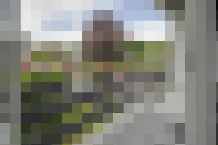 Klinkenberg 5 Oosterhout thumbnail 4