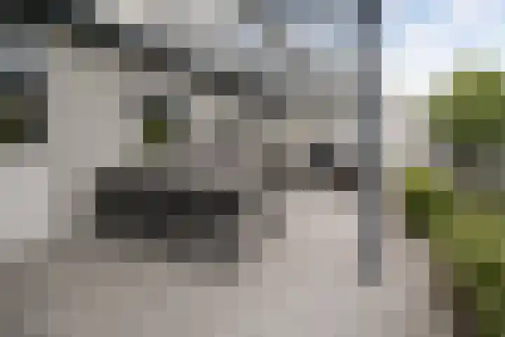 Klinkenberg 5 Oosterhout thumbnail 46