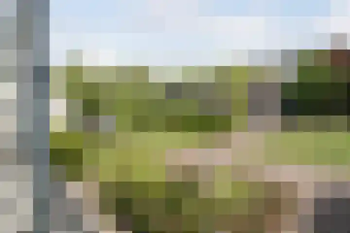 Klinkenberg 5 Oosterhout thumbnail 50