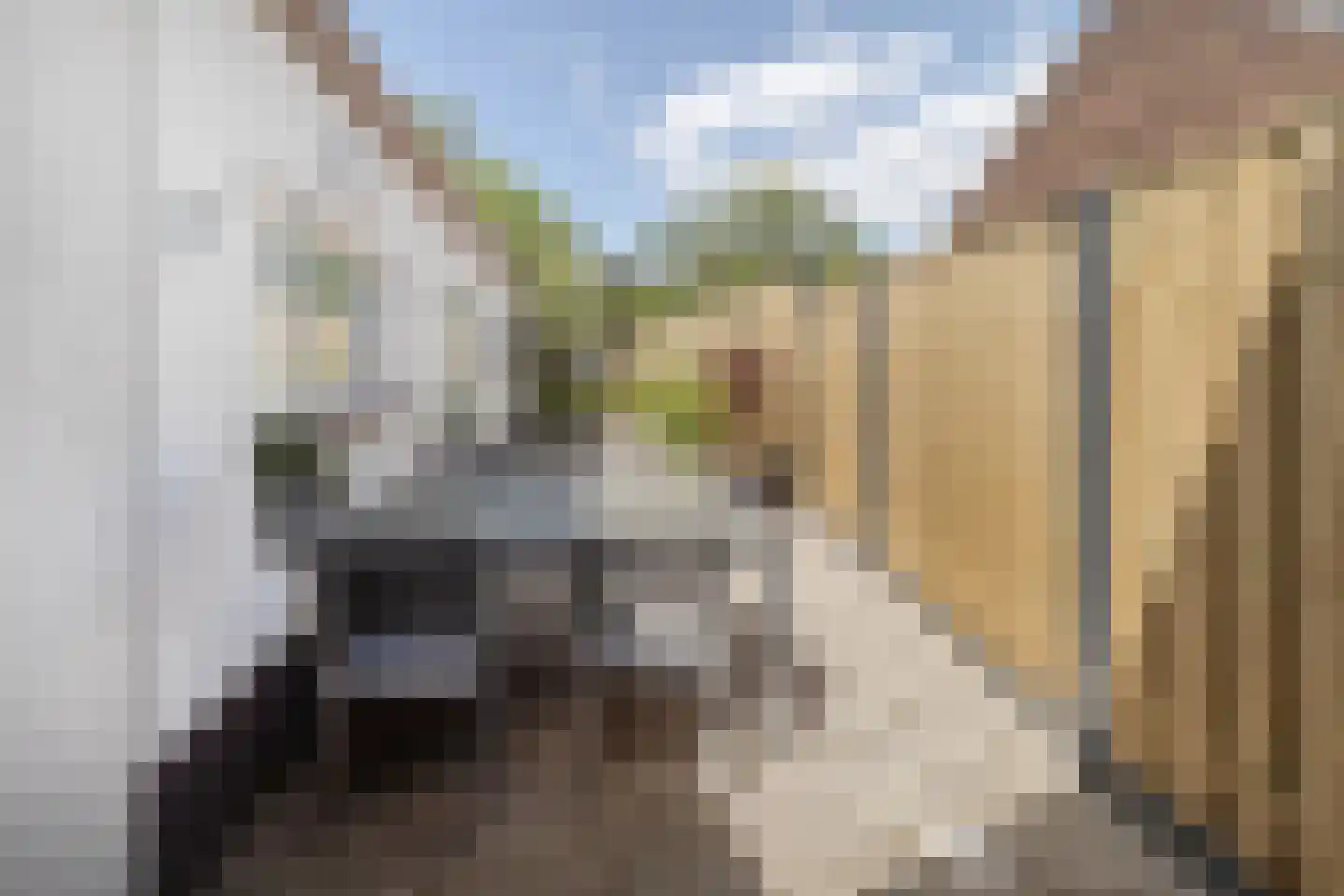 Klinkenberg 68 Meerssen thumbnail 24
