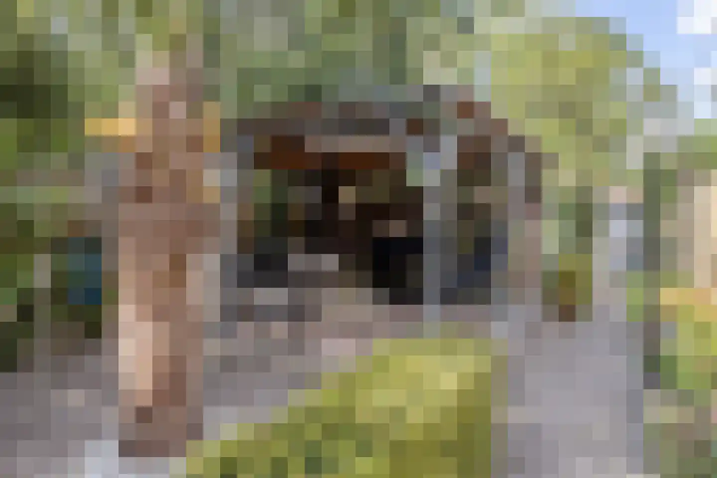 Klinkenberg 68 Meerssen thumbnail 26