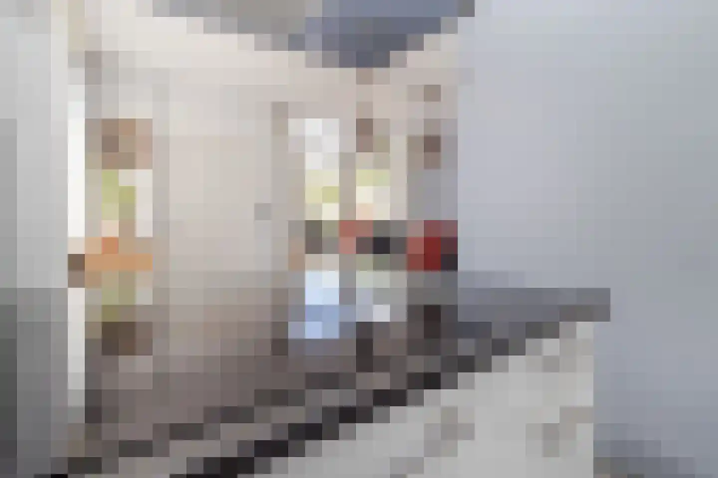Klinkenberg 68 Meerssen thumbnail 9
