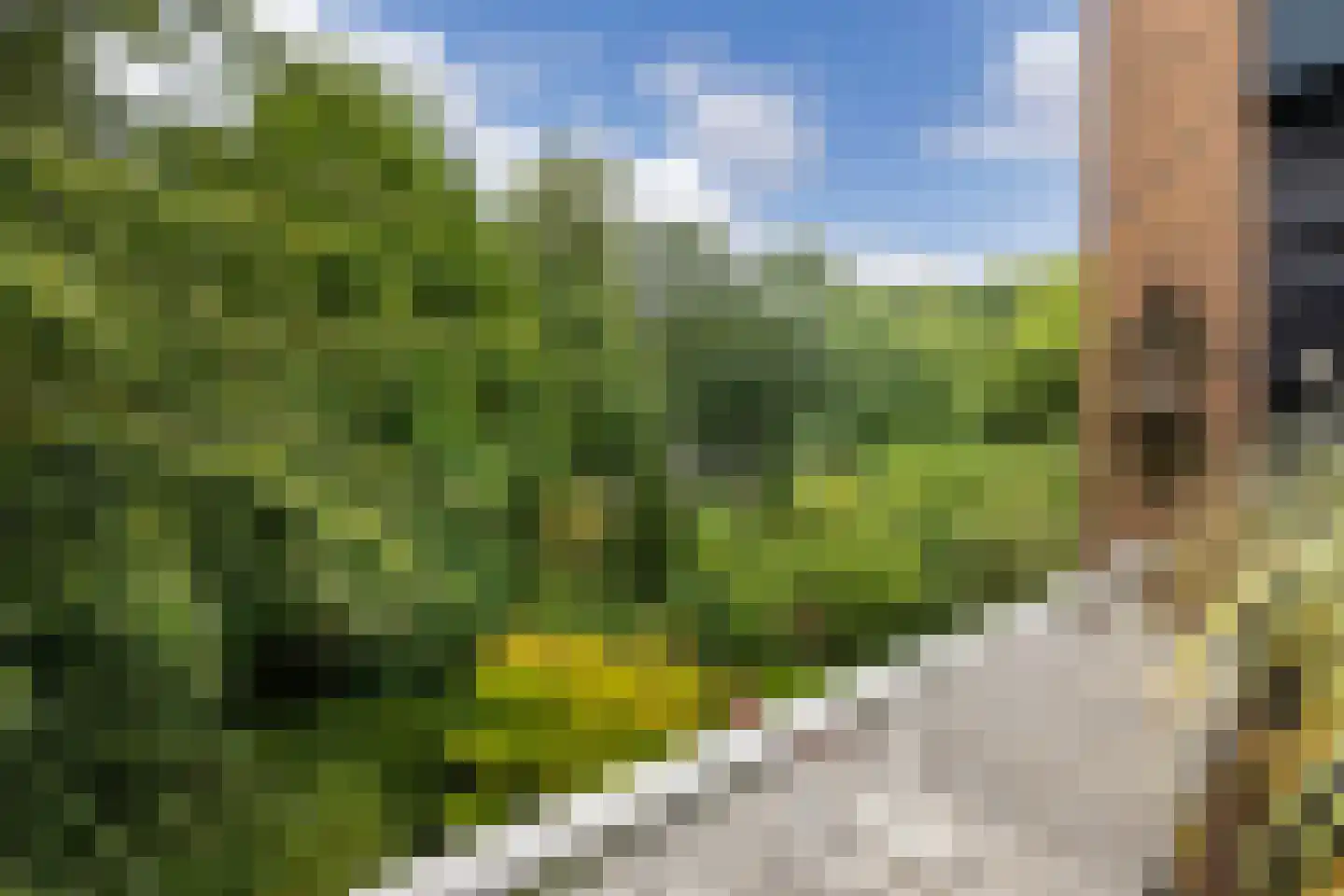 Klinkenbergerweg 39 E Ede thumbnail 28