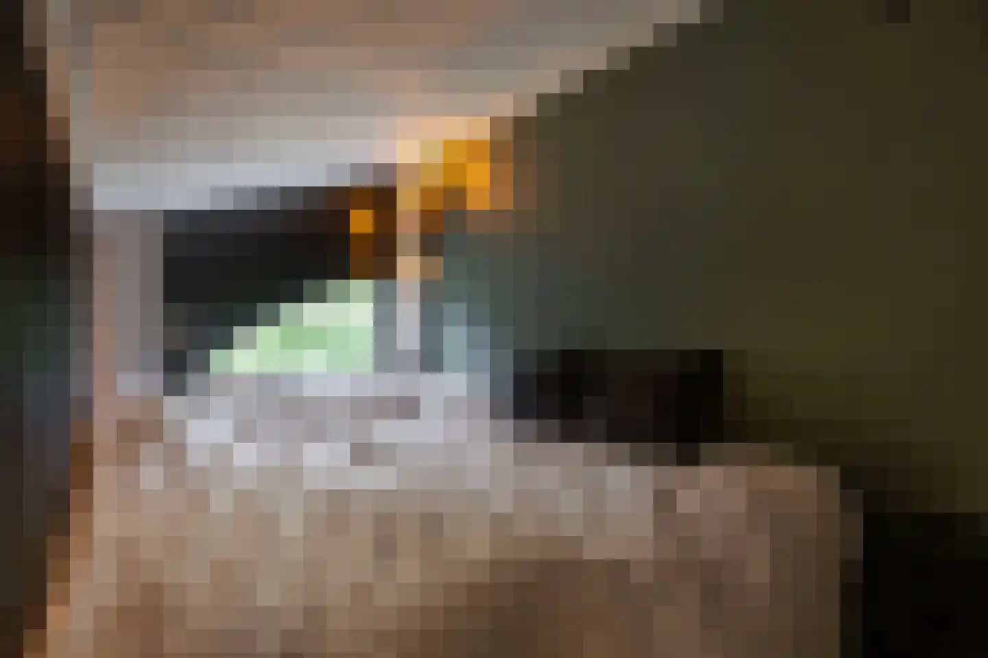 Klinkenbergerweg 39 E Ede thumbnail 37