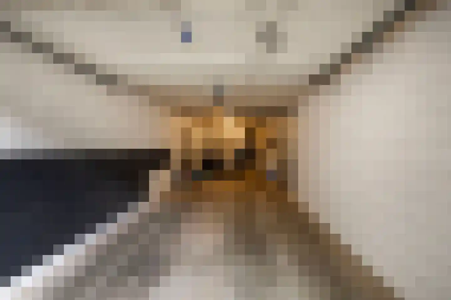 Klinkenbergerweg 39 E Ede thumbnail 40