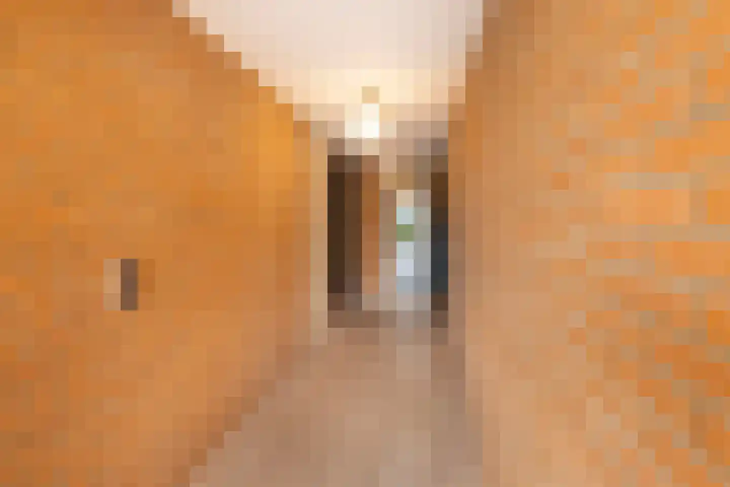 Klinkenbergerweg 39 E Ede thumbnail 8
