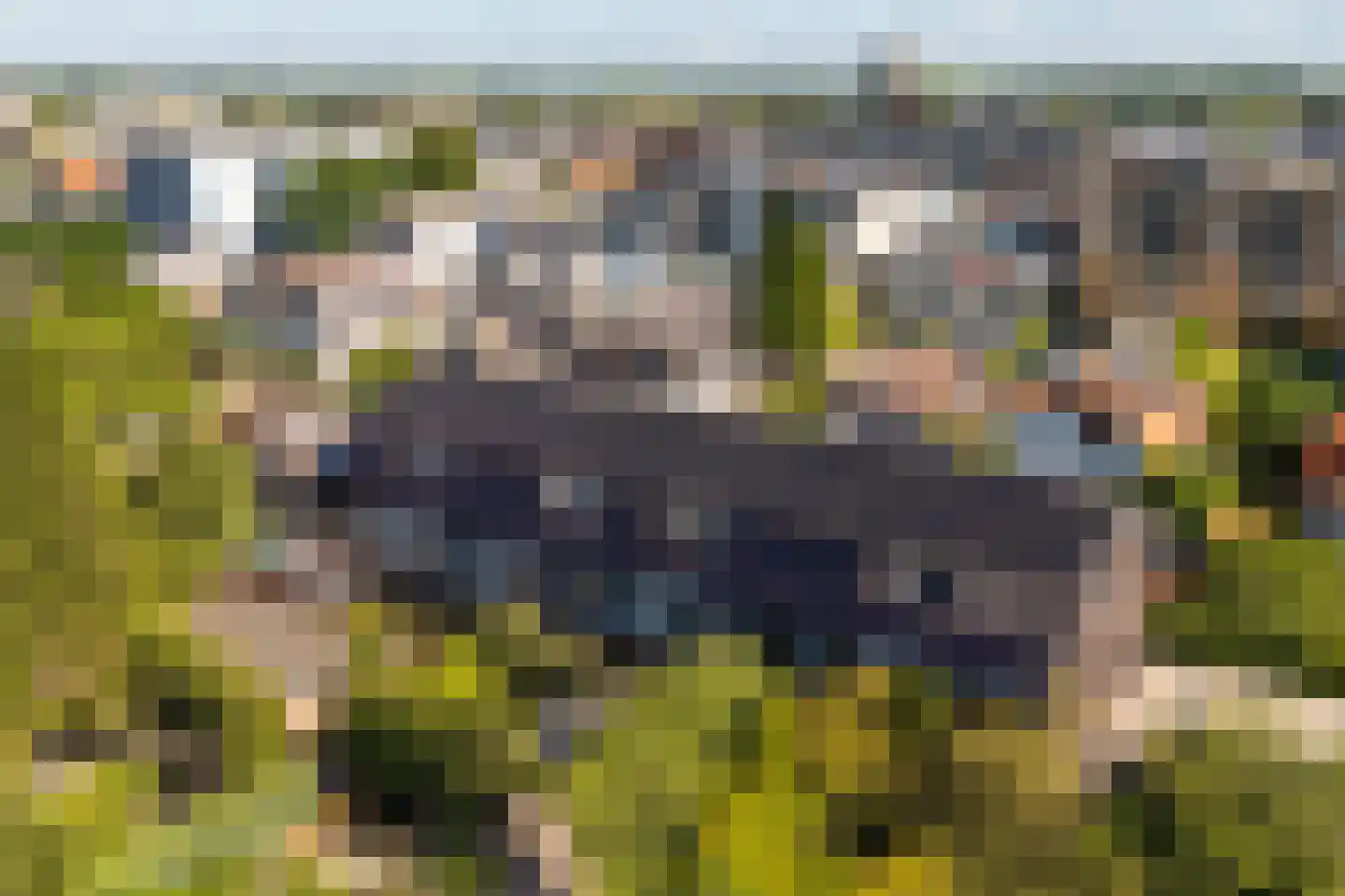 Klinkenbergerweg 6 A 10 Ede thumbnail 26