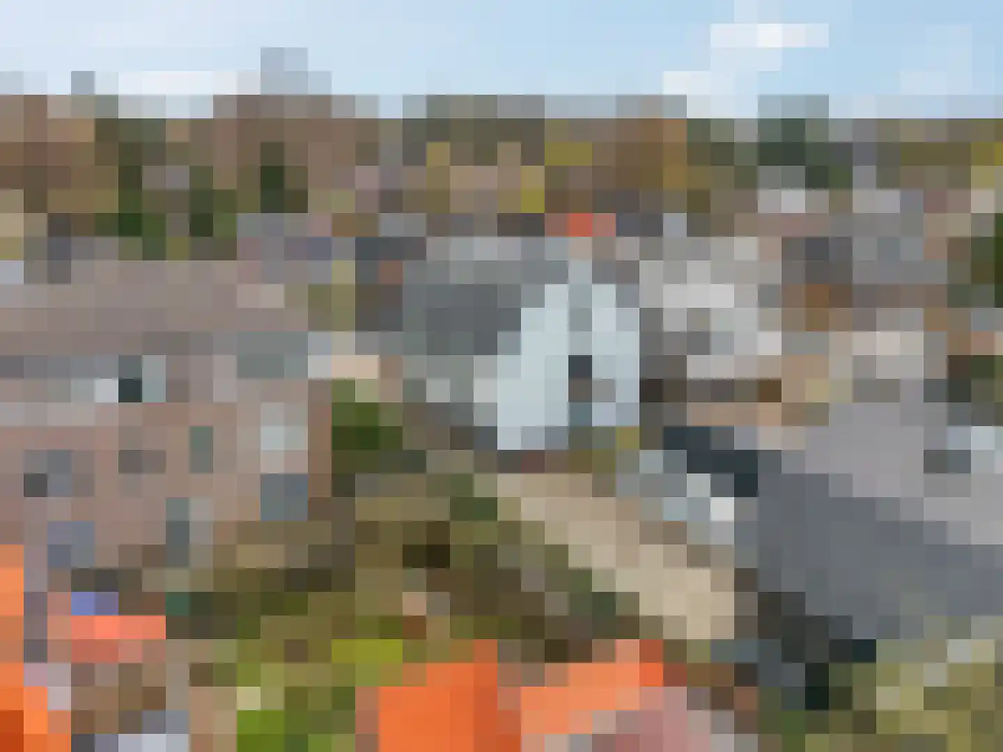 Klinkenbergerweg 6 B 2 Ede thumbnail 18