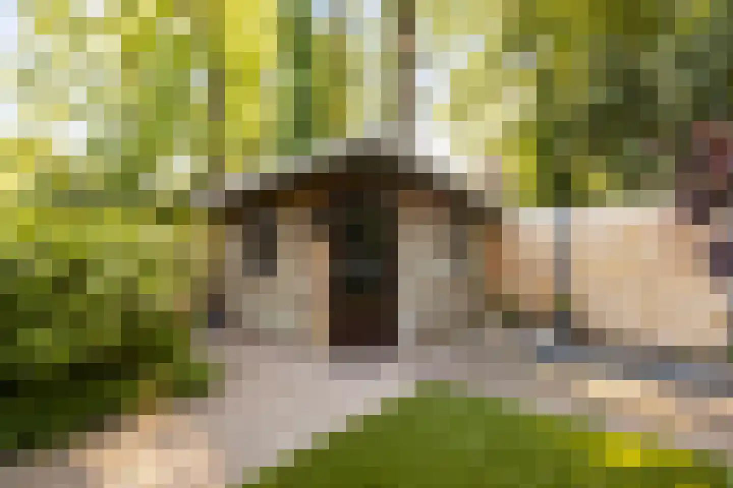 Klinkenbergerweg 84 D Ede thumbnail 31