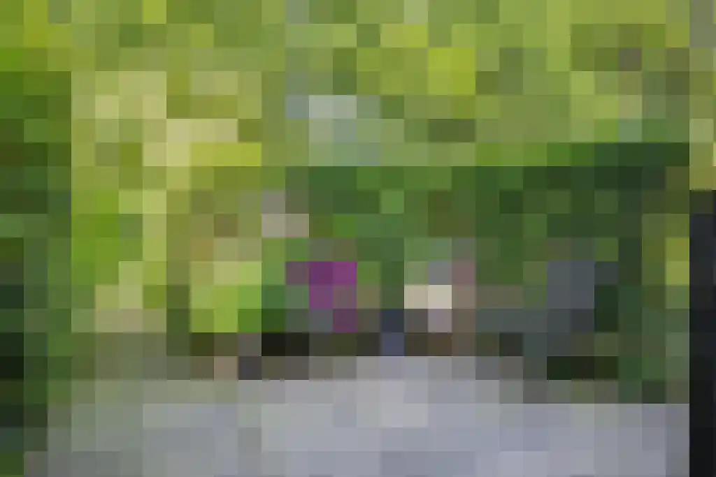 Klinkenbergerweg 84 D Ede thumbnail 31