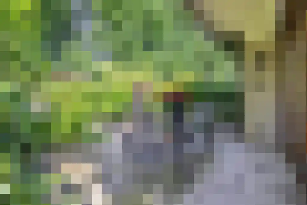 Klinkenbergerweg 84 D Ede thumbnail 32