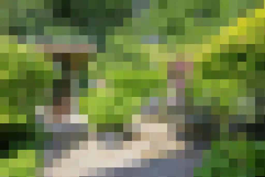 Klinkenbergerweg 84 D Ede thumbnail 35
