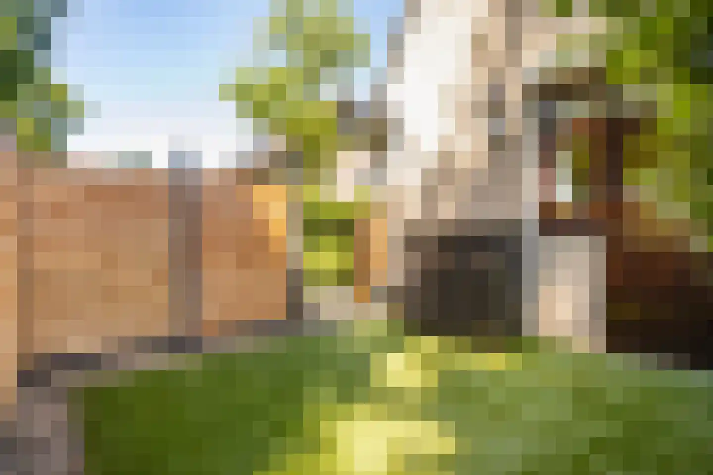Klinkenbergerweg 84 D Ede thumbnail 37