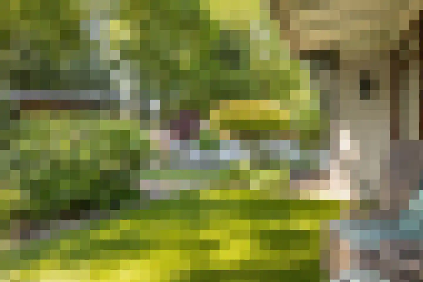Klinkenbergerweg 84 D Ede thumbnail 4