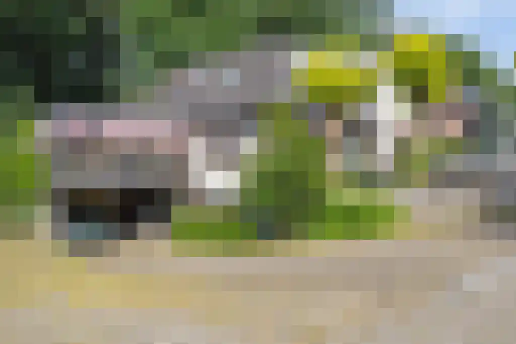 Klinkenbergerweg 84 D Ede thumbnail 4