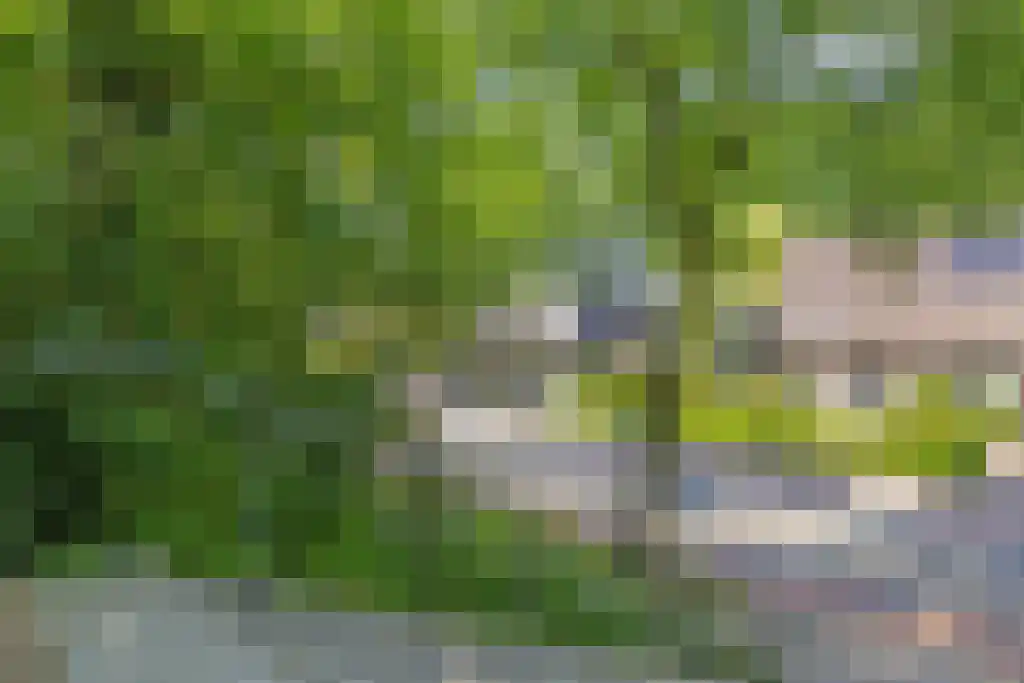 Klinkenbergerweg 84 D Ede thumbnail 41