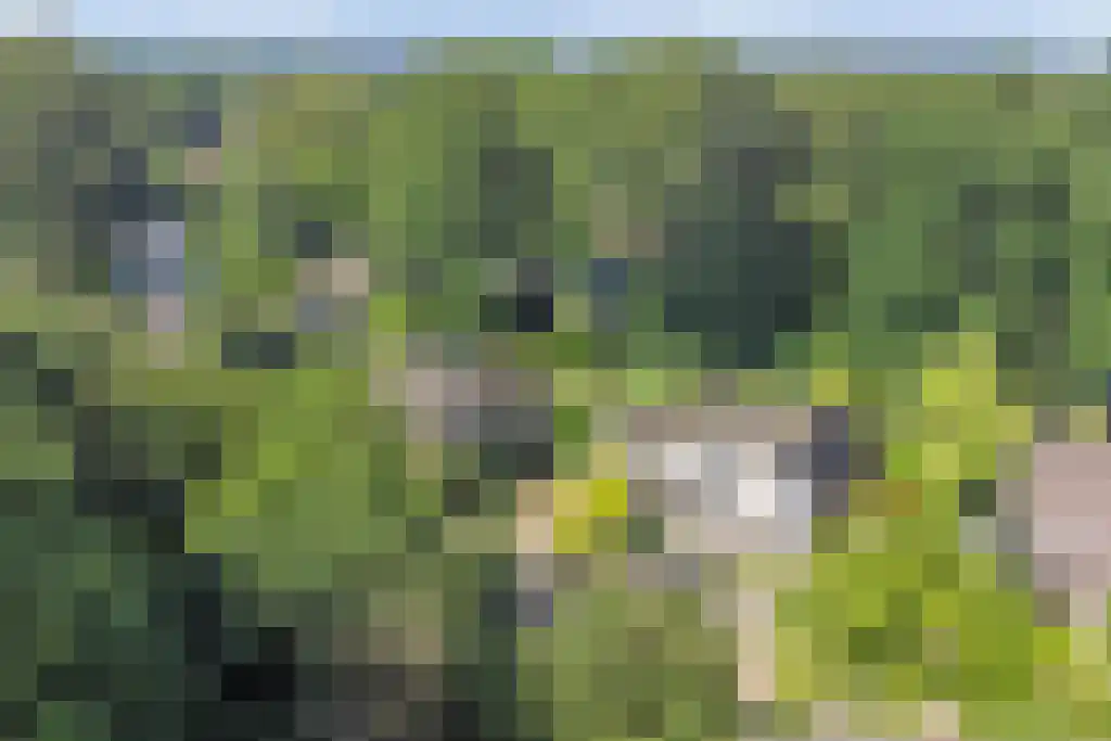 Klinkenbergerweg 84 D Ede thumbnail 43
